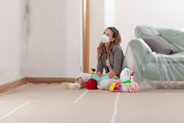 Reliable Mold Remediation contractor in Middletown, MD by WQB Mold Removal